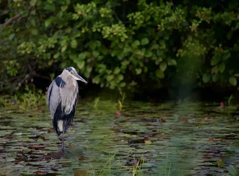 Waiting 库存照片
