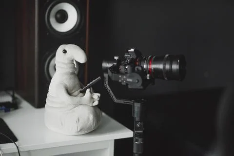 Waiting Plush whith a camera Stock Photos