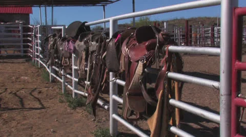Waiting saddles Stock Footage 23099871