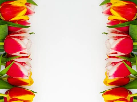 Waiting for spring. Happy Easter card.  Stock Photos