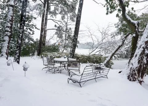 Waiting for Spring Foto stock