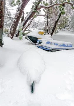 Waiting for spring Foto stock