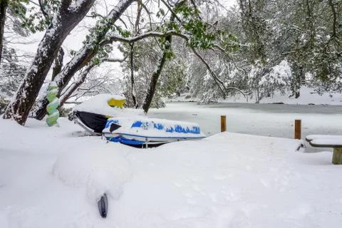 Waiting for Spring Stock Photos