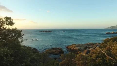 Waiting for the sun to set Stock Footage 73394208