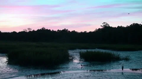 Waiting for the sunrise Stock Footage 31822296
