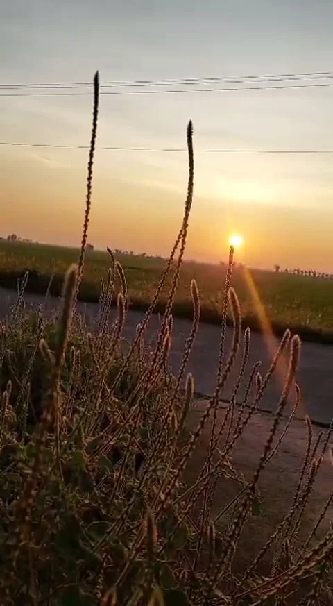 Waiting sunset 스톡 동영상 223668316