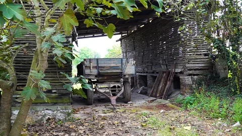 Waiting trailer in the barn Vidéo 106018532