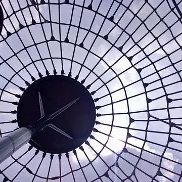 Waiting for twilight. Stock-Fotos