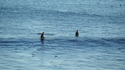 Waiting for a wave Stock Footage 328964073