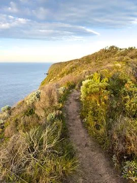 Waitpinga Cliffs Lookout Bench South Australia Stock Photos