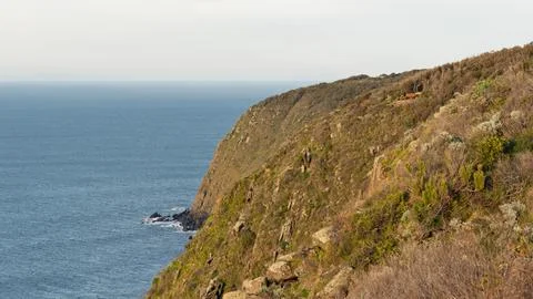 Waitpinga Cliffs Lookout Bench South Australia Stock Photos