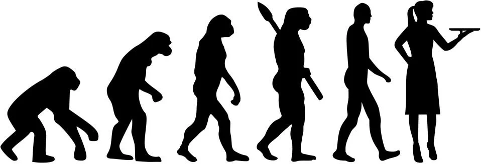 Waitress evolution Stock Illustration
