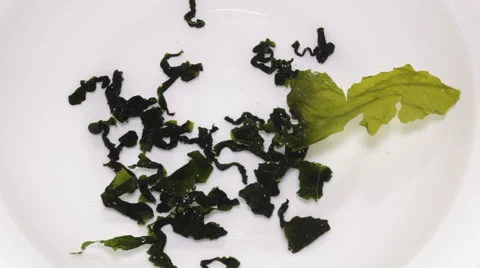 Wakame seaweed Stock Footage 62276393