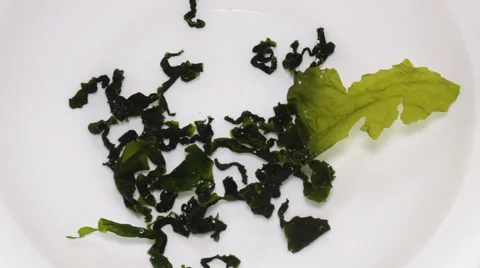 Wakame seaweed Stock Footage 62278029