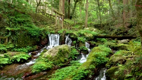 Wakasa Watermelon Split Spring Park - Watermelon Split Falls Stock Footage 332353492