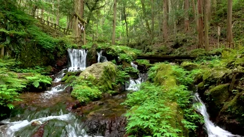 Wakasa Watermelon Split Spring Park - Watermelon Split Falls Stock Footage 332353504