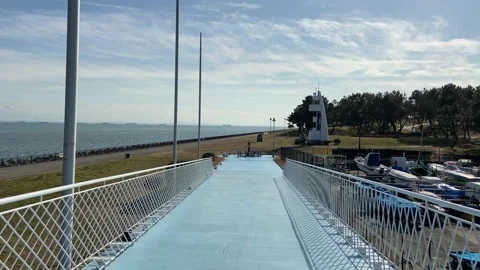 Wakasu Beach Park Video stock 148018356