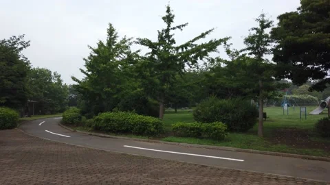 Wakasu Beach Park Stock Footage 148018821