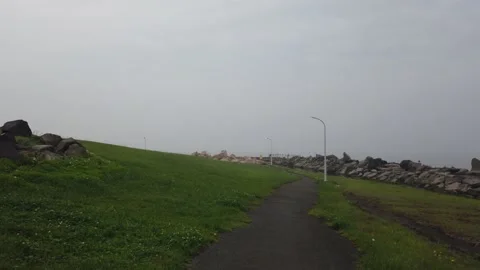Wakasu Beach Park Video stock 148019166