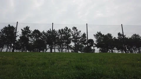 Wakasu Beach Park Stock-Footage 148019405