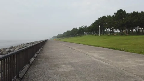 Wakasu Beach Park Stock-Footage 148020242