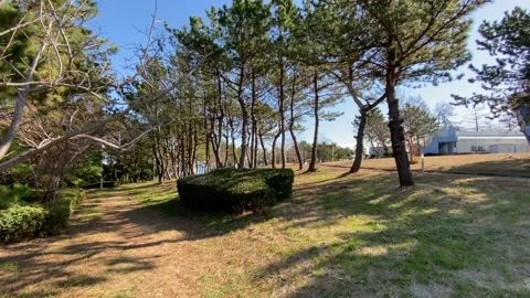 Wakasu Beach Park Stock Footage 148021016