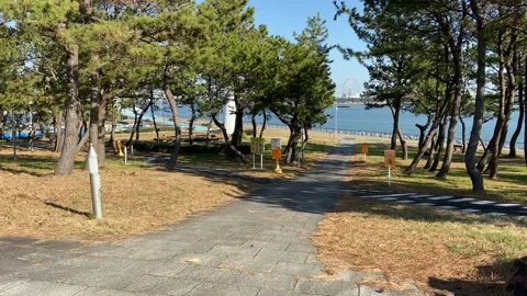 Wakasu Beach Park Stock Footage 148021038