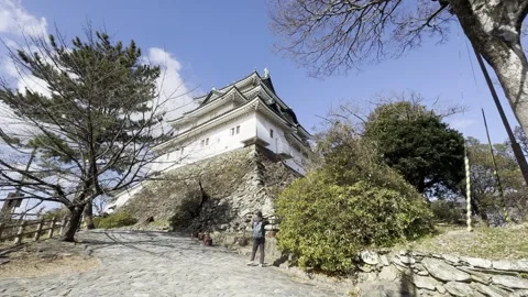 Wakayama Castle Stock Footage 302554598