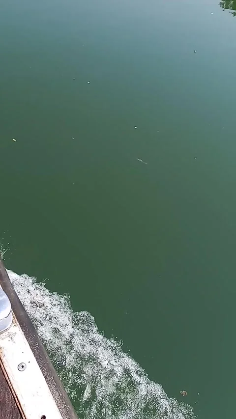 Wake of the bow Stock Footage 314729306