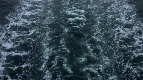 Wake Vídeo Stock 109549033