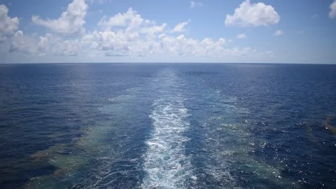 Wake from Pacific Dawn Cruise ship and coral spawning Stock Footage 104889243