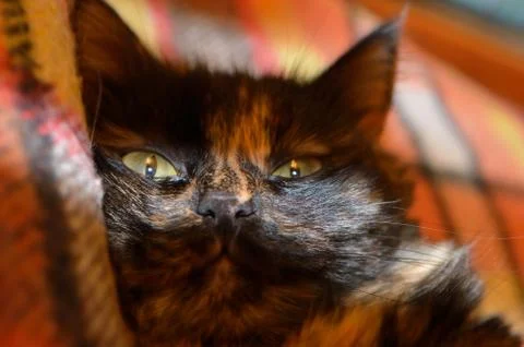 Wake up Stock Photos