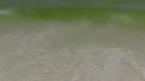 Wake roll in on beach Stock Footage 156258588