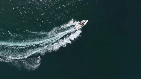 Wakeboard top view Stock Footage 81215589