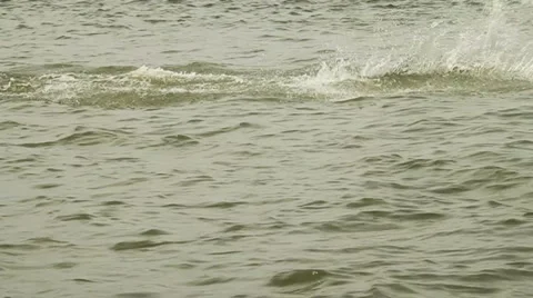 Wakeboarding 스톡 동영상 910086