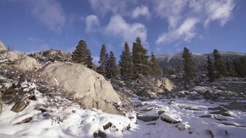 Waking up after a night of snow storm in the Sierra Nevada mountains. Stock Footage 166981489