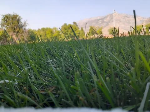 Waking Up Stock Photos