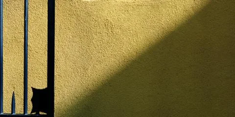 Wal for presentation background in light yellow green color Stock Photos