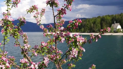 Walchensee - Bavaria - Germany. Stock Footage 309778182