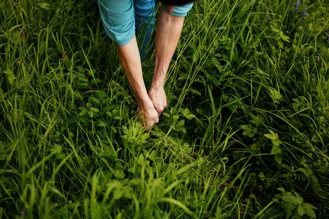 Wald &amp; Bume Photos