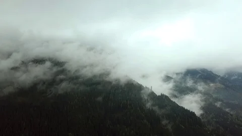 Wald in den Bergen der Alpen. Der Nebel zieht auf. Stock Footage 112487144