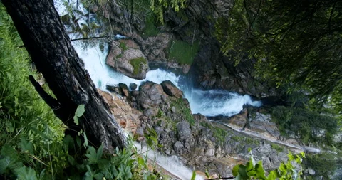 Waldbachstrub Wasserfall, forest, old log and wet foliage in Austria near Stock Footage
