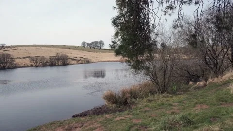 Waldergrave Pool At Priddy On A Windy Day. Mendip Hills. Somerset. England. 動画素材 172501159