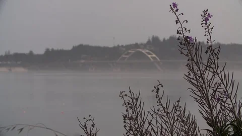 Waldport Bridge Video stock 80038058