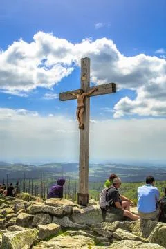 Waldsterben Stock Photos