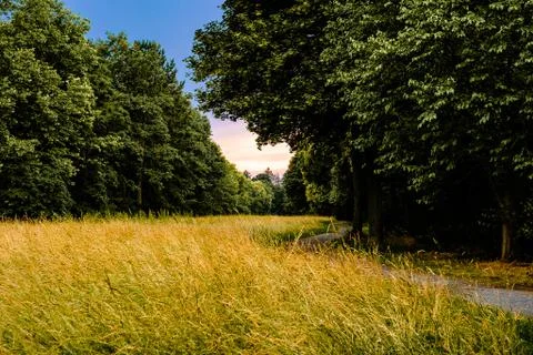 Waldweg Stock Photos