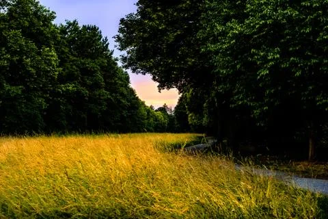 Waldweg Stock Photos