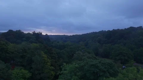 Wales, dense forest valley at dawn. Aerial view. Stock Footage 344907506