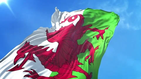 Wales Flag Low Angle View Stock Footage 295701380