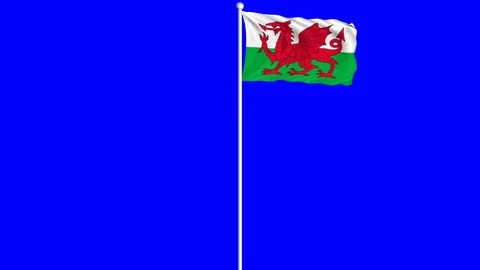 Wales Flag Waving Fluttering on Wind Loopable Green Blue Screen Matte Stock Footage 77568417